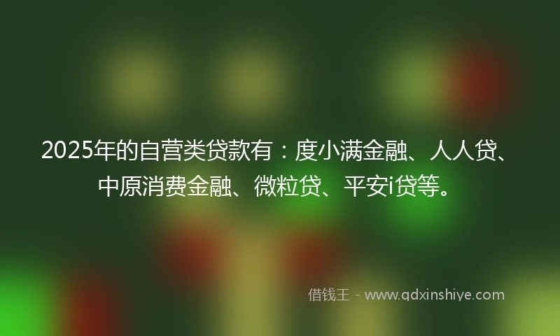 2025年的自营类贷款有：度小满金融、人人贷、中原消费金融、微粒贷、平安i贷等。