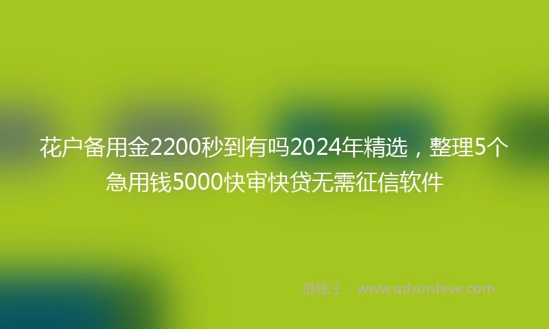 花户备用金2200秒到有吗2024年精选，整理5个急用钱5000快审快贷无需征信软件