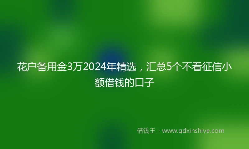 花户备用金3万2024年精选,汇总5个不看征信小额借钱的口子