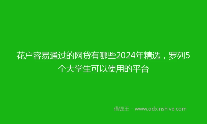 花户容易通过的网贷有哪些2024年精选，罗列5个大学生可以使用的平台