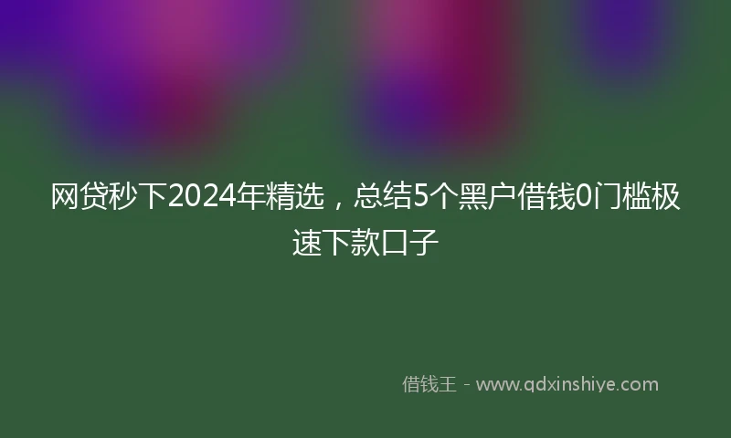 网贷秒下2024年精选，总结5个黑户借钱0门槛极速下款口子