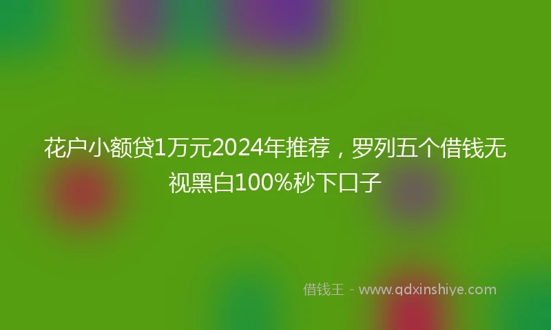 花户小额贷1万元2024年推荐，罗列五个借钱无视黑白100%秒下口子
