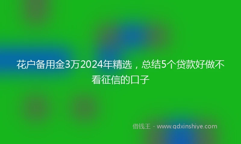 花户备用金3万2024年精选，总结5个贷款好做不看征信的口子