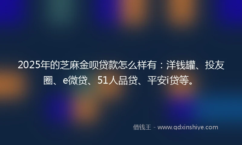 2025年的芝麻金呗贷款怎么样有：洋钱罐、投友圈、e微贷、51人品贷、平安i贷等。