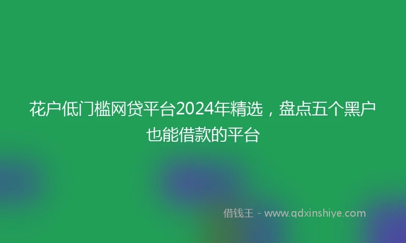 花户低门槛网贷平台2024年精选，盘点五个黑户也能借款的平台