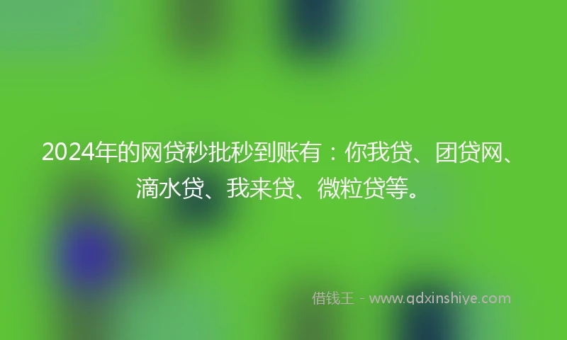 2024年的网贷秒批秒到账有：你我贷、团贷网、滴水贷、我来贷、微粒贷等。