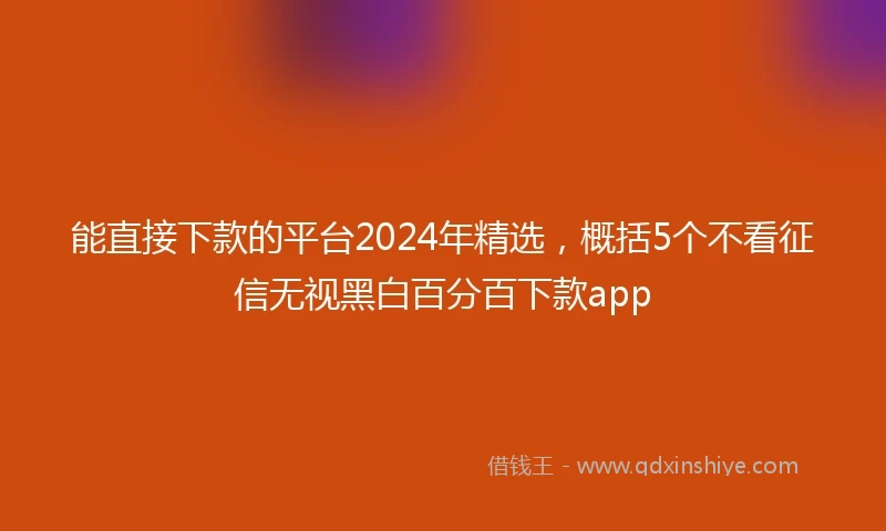 能直接下款的平台2024年精选，概括5个不看征信无视黑白百分百下款app
