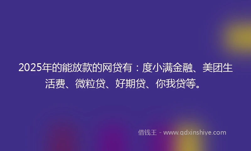 2025年的能放款的网贷有：度小满金融、美团生活费、微粒贷、好期贷、你我贷等。