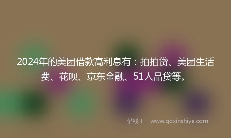 2024年的美团借款高利息有：拍拍贷、美团生活费、花呗、京东金融、51人品贷等。