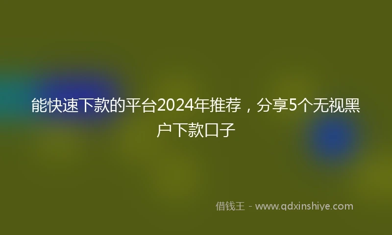 能快速下款的平台2024年推荐，分享5个无视黑户下款口子