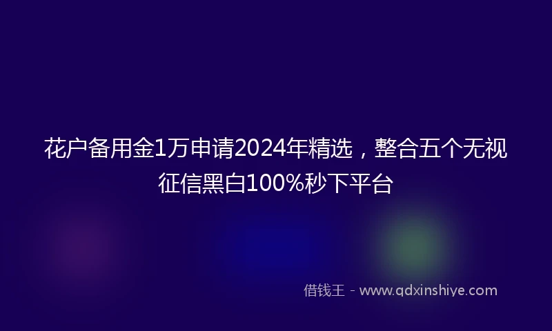 花户备用金1万申请2024年精选，整合五个无视征信黑白100%秒下平台