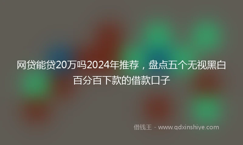 网贷能贷20万吗2024年推荐，盘点五个无视黑白百分百下款的借款口子