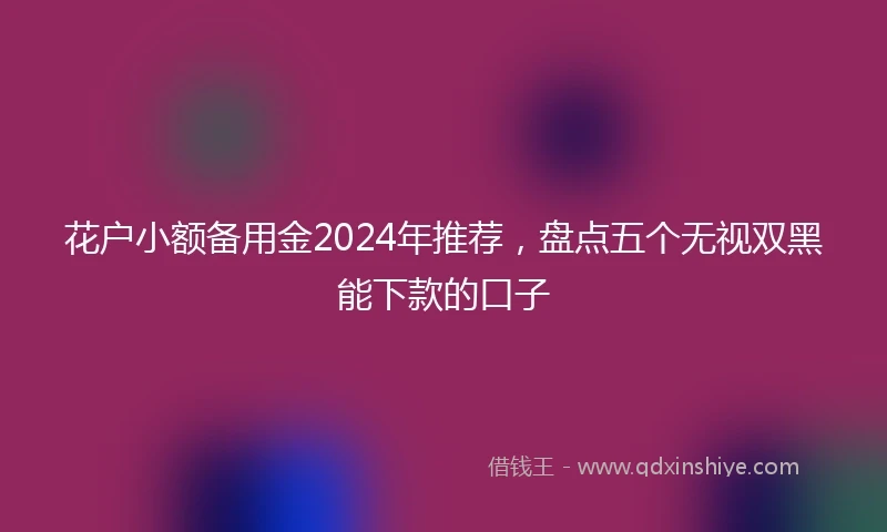花户小额备用金2024年推荐，盘点五个无视双黑能下款的口子