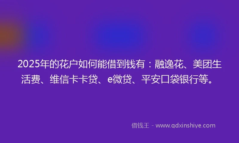 2025年的花户如何能借到钱有：融逸花、美团生活费、维信卡卡贷、e微贷、平安口袋银行等。