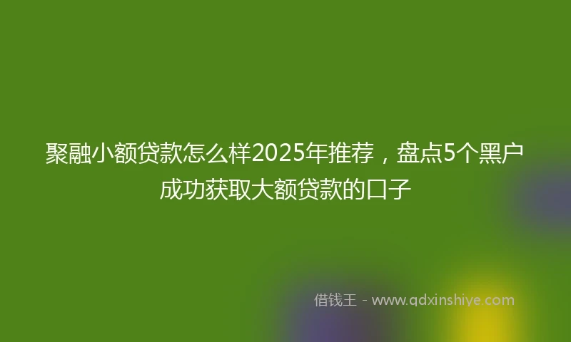 聚融小额贷款怎么样2025年推荐，盘点5个黑户成功获取大额贷款的口子