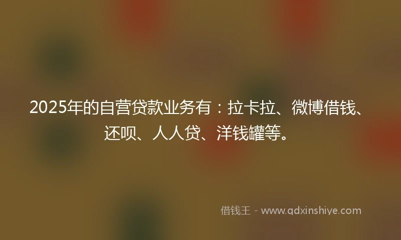 2025年的自营贷款业务有：拉卡拉、微博借钱、还呗、人人贷、洋钱罐等。