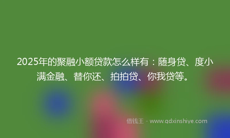 2025年的聚融小额贷款怎么样有：随身贷、度小满金融、替你还、拍拍贷、你我贷等。