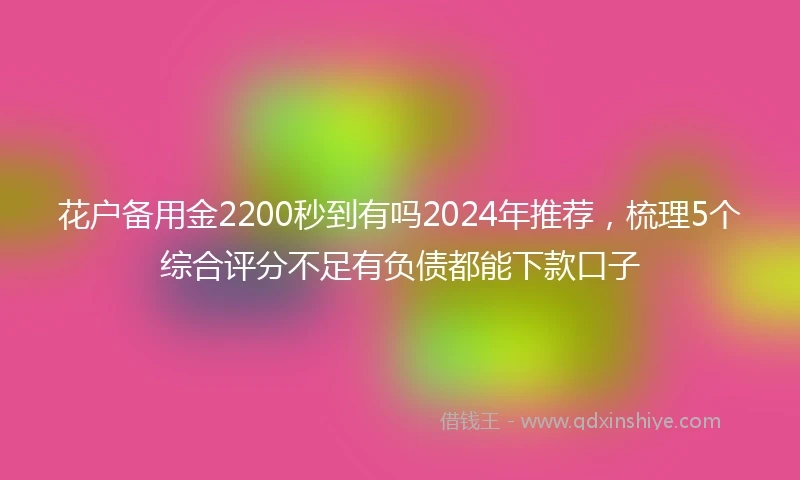 花户备用金2200秒到有吗2024年推荐，梳理5个综合评分不足有负债都能下款口子
