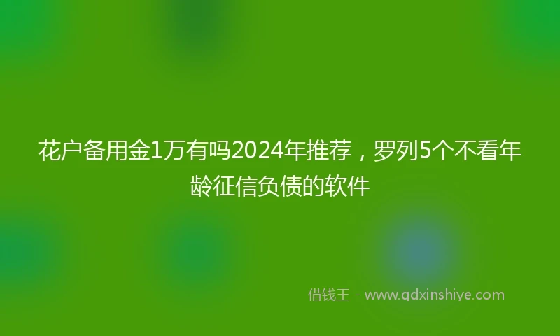花户备用金1万有吗2024年推荐，罗列5个不看年龄征信负债的软件