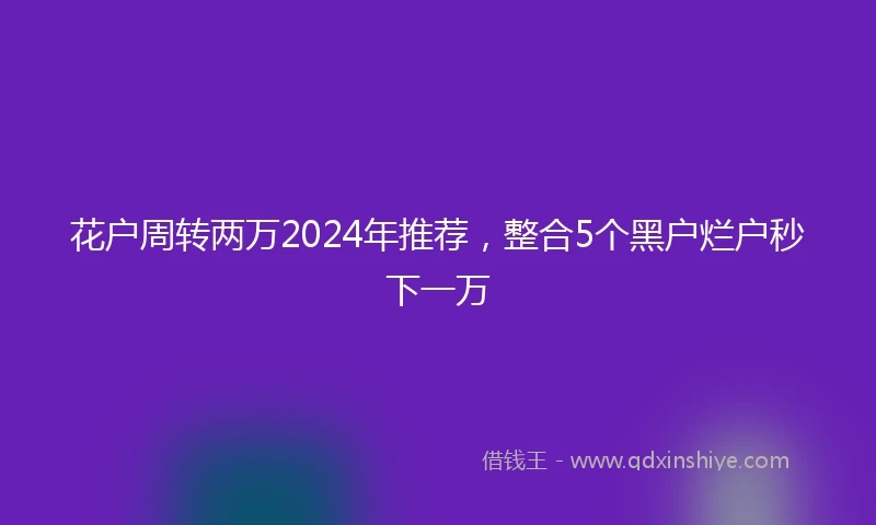 花户周转两万2024年推荐，整合5个黑户烂户秒下一万