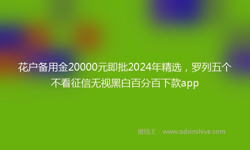 花户备用金20000元即批2024年精选，罗列五个不看征信无视黑白百分百下款app
