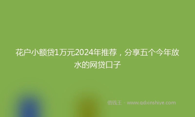 花户小额贷1万元2024年推荐，分享五个今年放水的网贷口子