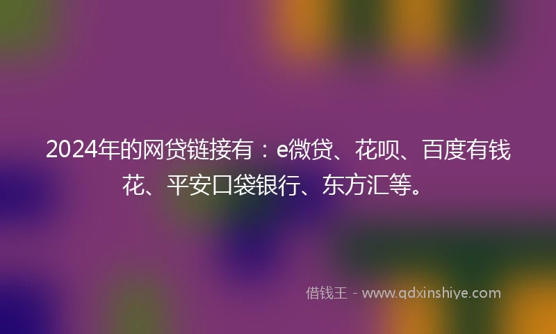2024年的网贷链接有：e微贷、花呗、百度有钱花、平安口袋银行、东方汇等。