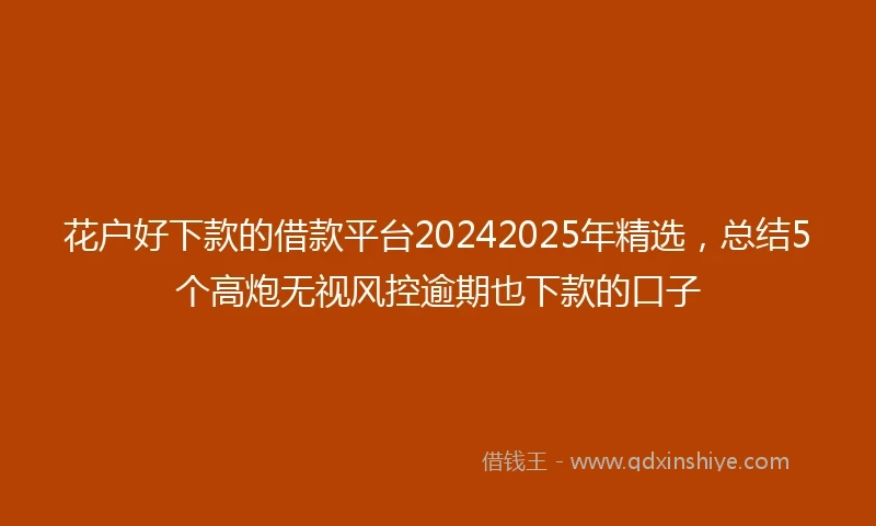 花户好下款的借款平台20242025年精选，总结5个高炮无视风控逾期也下款的口子