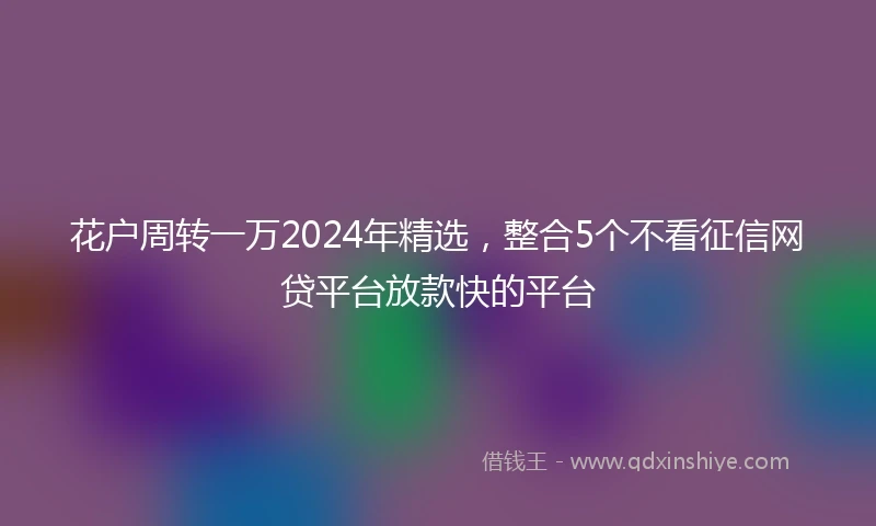 花户周转一万2024年精选，整合5个不看征信网贷平台放款快的平台