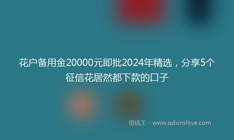花户备用金20000元即批2024年精选，分享5个征信花居然都下款的口子