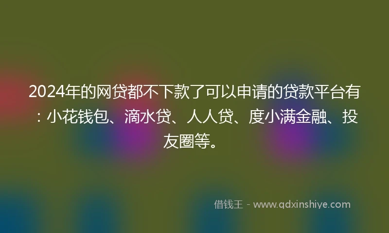 2024年的网贷都不下款了可以申请的贷款平台有：小花钱包、滴水贷、人人贷、度小满金融、投友圈等。