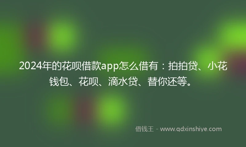 2024年的花呗借款app怎么借有：拍拍贷、小花钱包、花呗、滴水贷、替你还等。