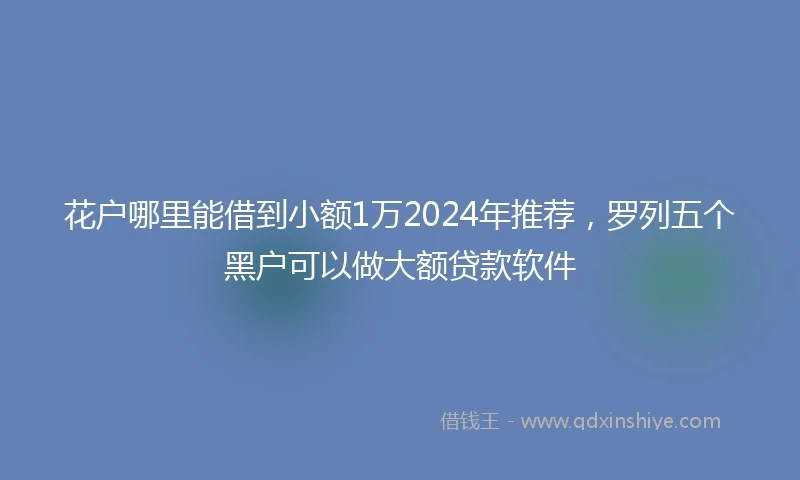 花户哪里能借到小额1万2024年推荐，罗列五个黑户可以做大额贷款软件