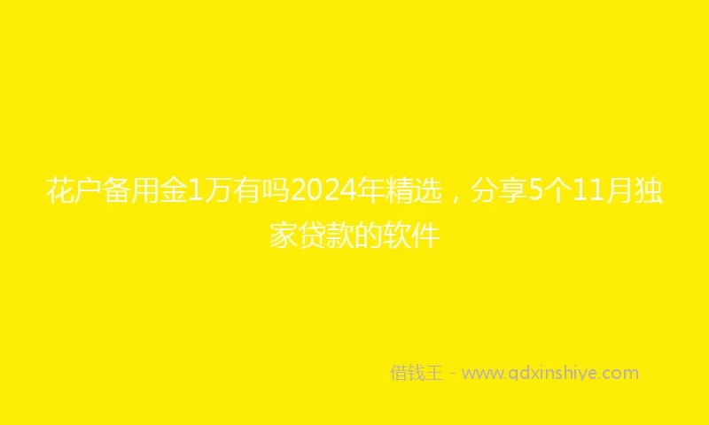花户备用金1万有吗2024年精选，分享5个11月独家贷款的软件