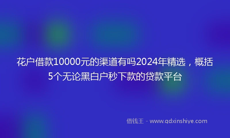 花户借款10000元的渠道有吗2024年精选，概括5个无论黑白户秒下款的贷款平台