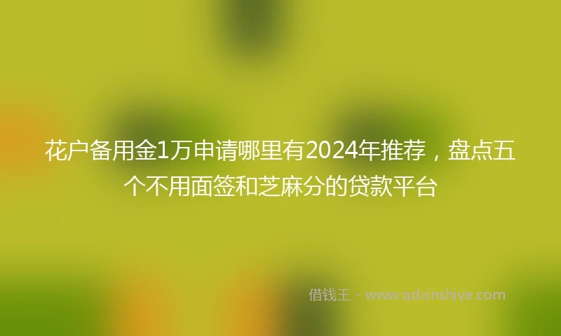 花户备用金1万申请哪里有2024年推荐，盘点五个不用面签和芝麻分的贷款平台