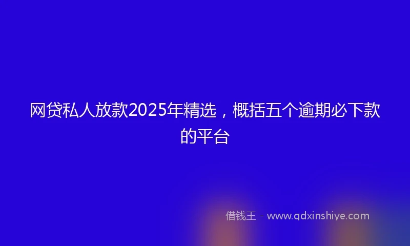 网贷私人放款2025年精选,概括五个逾期必下款的平台
