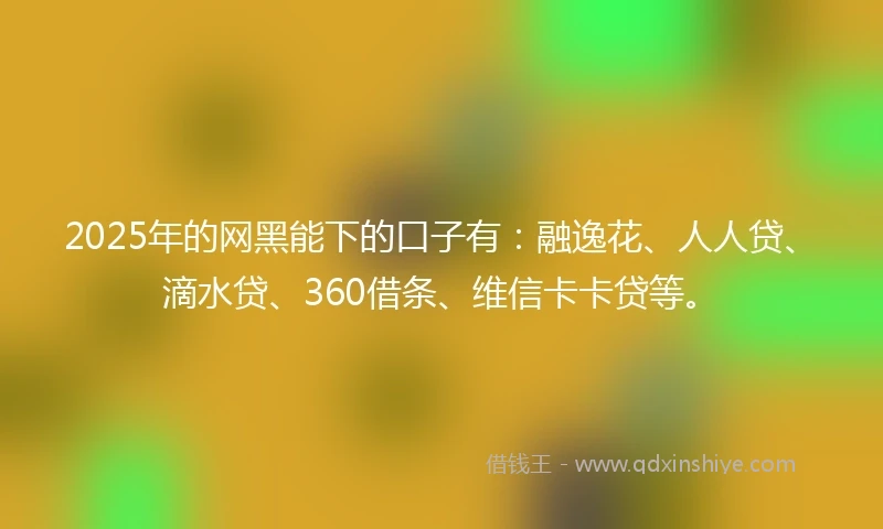 2025年的网黑能下的口子有：融逸花、人人贷、滴水贷、360借条、维信卡卡贷等。