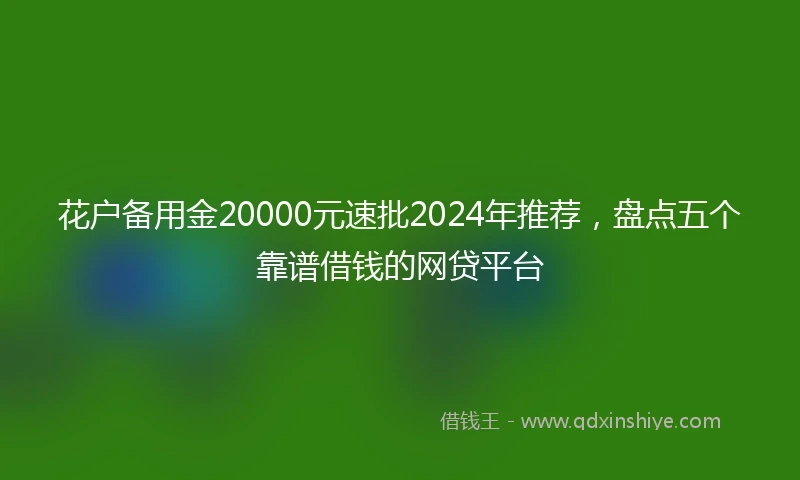 花户备用金20000元速批2024年推荐，盘点五个靠谱借钱的网贷平台