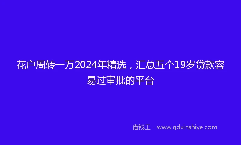 花户周转一万2024年精选，汇总五个19岁贷款容易过审批的平台