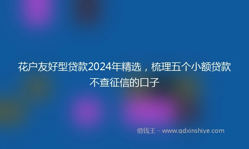 花户友好型贷款2024年精选，梳理五个小额贷款不查征信的口子