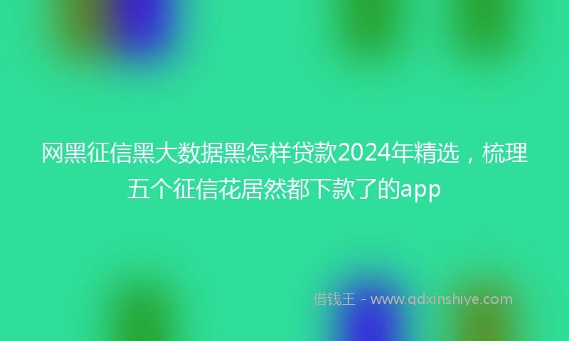 网黑征信黑大数据黑怎样贷款2024年精选，梳理五个征信花居然都下款了的app
