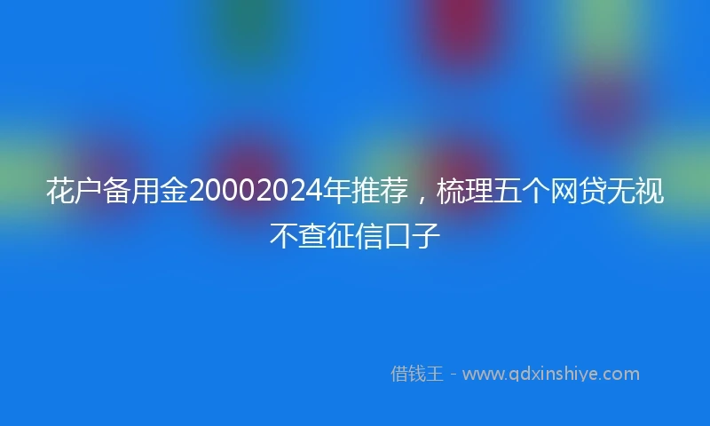 花户备用金20002024年推荐，梳理五个网贷无视不查征信口子