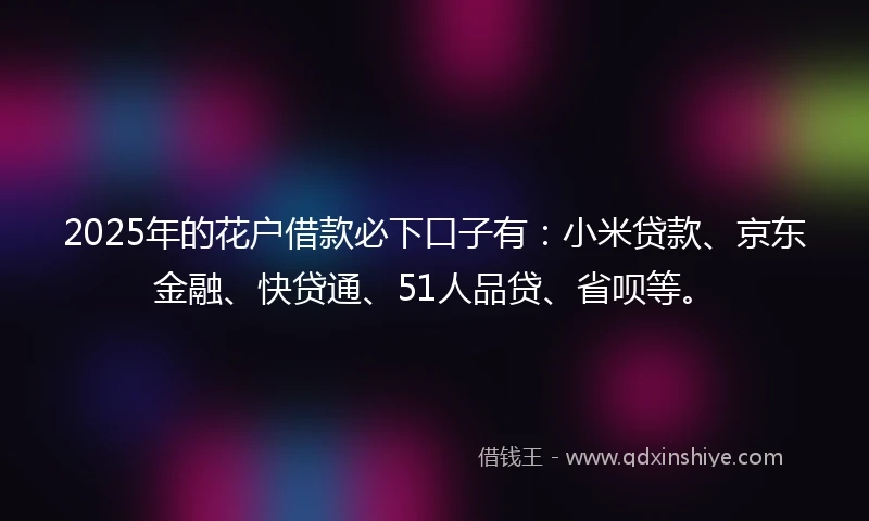 2025年的花户借款必下口子有：小米贷款、京东金融、快贷通、51人品贷、省呗等。