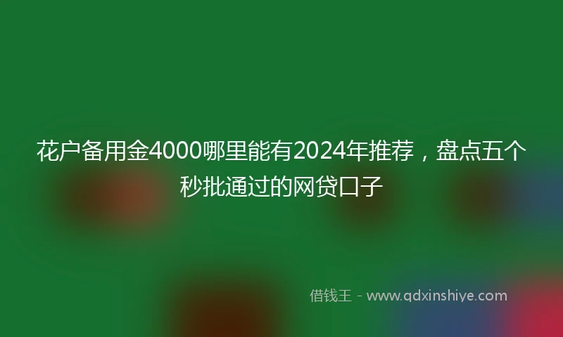 花户备用金4000哪里能有2024年推荐，盘点五个秒批通过的网贷口子