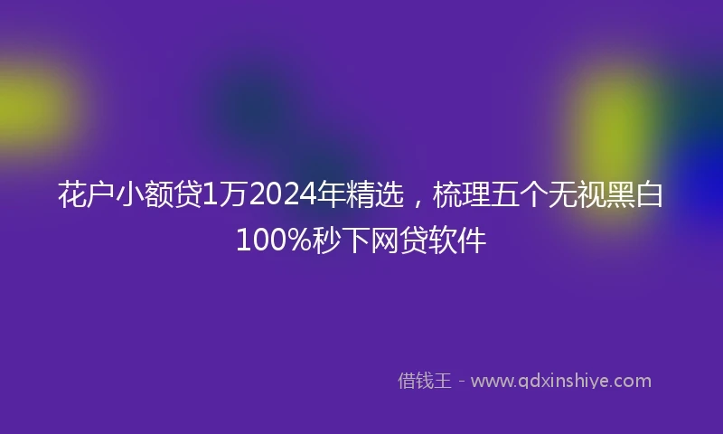 花户小额贷1万2024年精选，梳理五个无视黑白100%秒下网贷软件