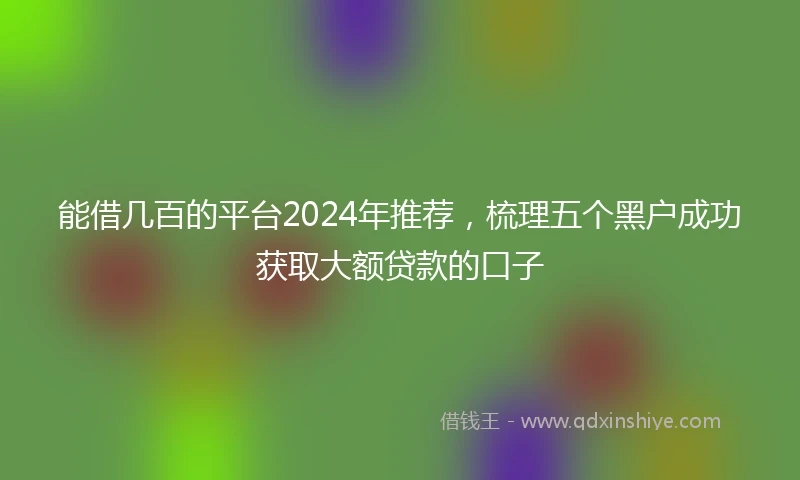 能借几百的平台2024年推荐，梳理五个黑户成功获取大额贷款的口子