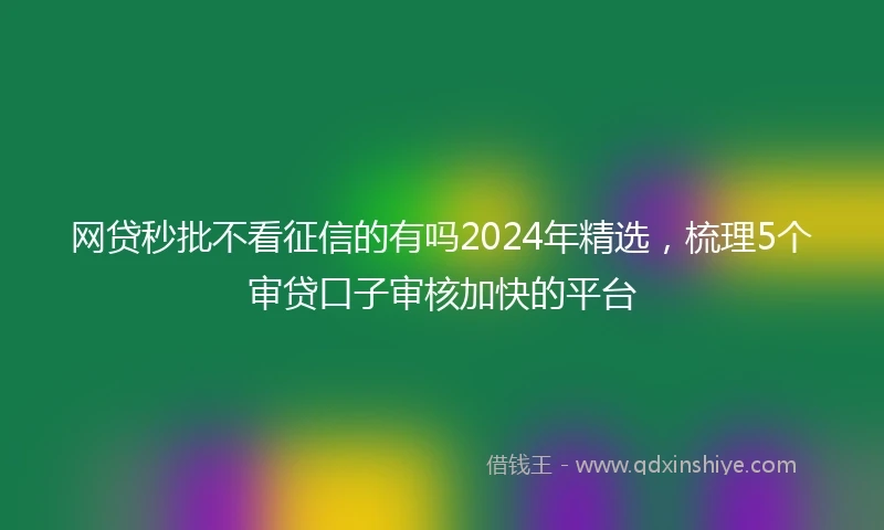 网贷秒批不看征信的有吗2024年精选，梳理5个审贷口子审核加快的平台