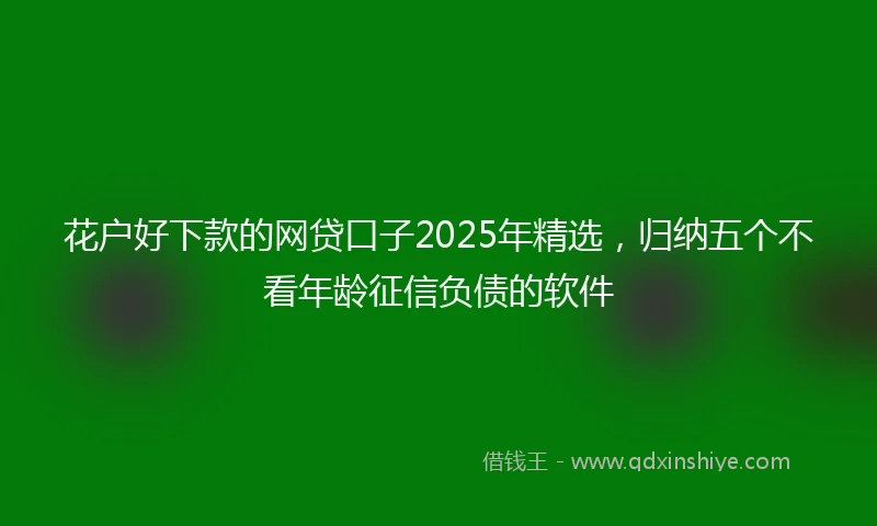 花户好下款的网贷口子2025年精选，归纳五个不看年龄征信负债的软件