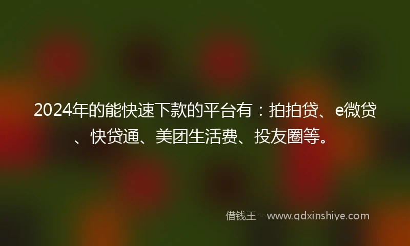 2024年的能快速下款的平台有：拍拍贷、e微贷、快贷通、美团生活费、投友圈等。